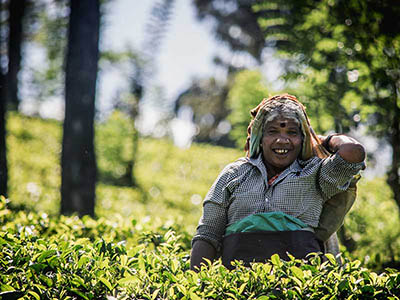 Sri Lanka Food and Cooking Tours