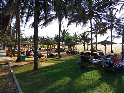 Sri Lanka Food and Cooking Tours