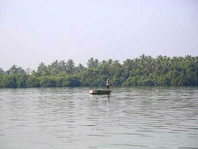 Sri Lanka Food and Cooking Tours
