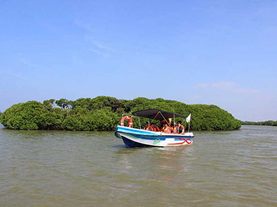 Sri Lanka Food and Cooking Tours