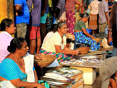 Sri Lanka Food and Cooking Tours