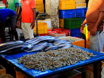 Sri Lanka Food and Cooking Tours