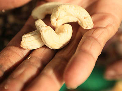 Sri Lanka Food and Cooking Tours
