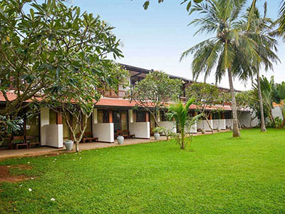 Sri Lanka Food and Cooking Tours