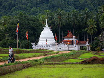 Sri Lanka Food and Cooking Tours