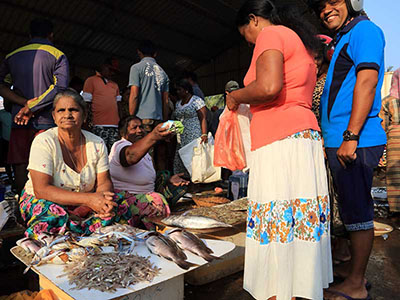 Two weeks holiday itineraries in Sri Lanka