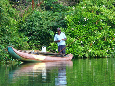 Two weeks holiday itineraries in Sri Lanka