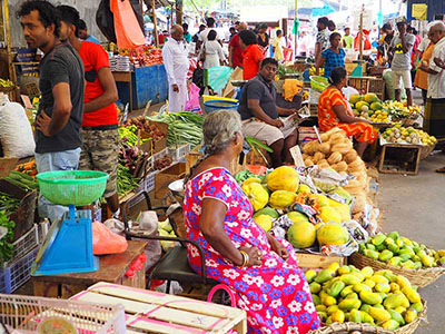 Two weeks holiday itineraries in Sri Lanka