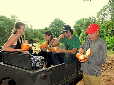 Two weeks holiday itineraries in Sri Lanka