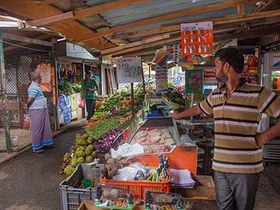 Two weeks holiday itineraries in Sri Lanka