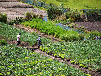Two weeks holiday itineraries in Sri Lanka