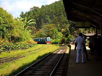 Two weeks holiday itineraries in Sri Lanka