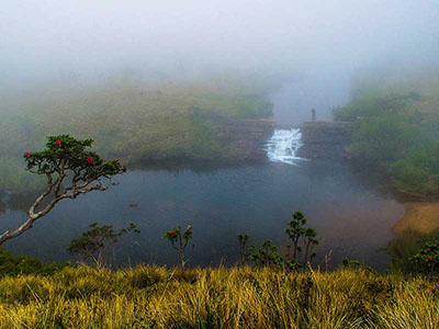 Two weeks holiday itineraries in Sri Lanka