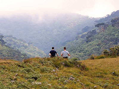 Two weeks holiday itineraries in Sri Lanka