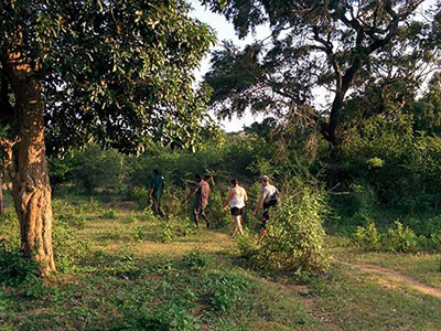 Two weeks holiday itineraries in Sri Lanka