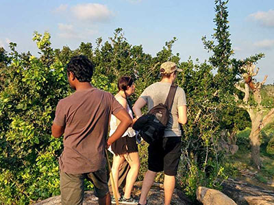 Two weeks holiday itineraries in Sri Lanka