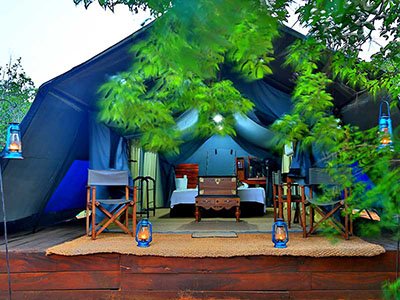 Two weeks holiday itineraries in Sri Lanka
