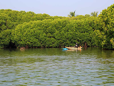 Two weeks holiday itineraries in Sri Lanka