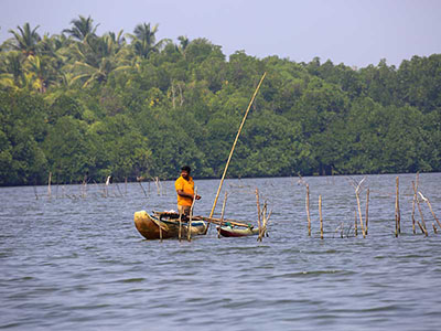 Two weeks holiday itineraries in Sri Lanka