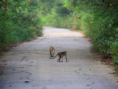 Two weeks holiday itineraries in Sri Lanka