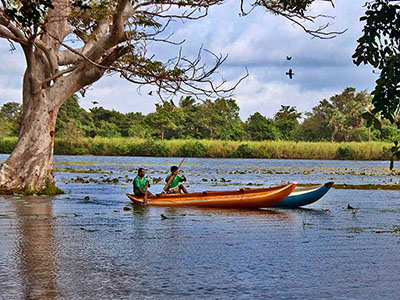 Two weeks holiday itineraries in Sri Lanka