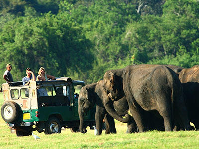 Two weeks holiday itineraries in Sri Lanka