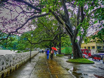 Two weeks holiday itineraries in Sri Lanka