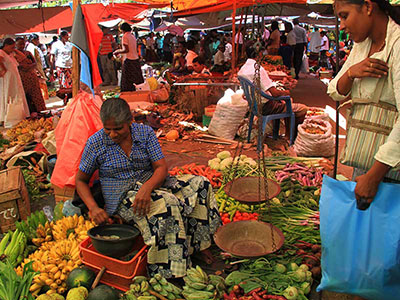 Two weeks holiday itineraries in Sri Lanka