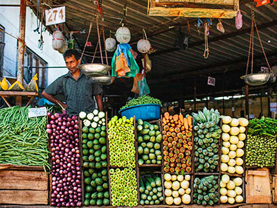 Two weeks holiday itineraries in Sri Lanka
