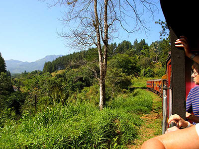 Two weeks holiday itineraries in Sri Lanka