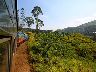 Two weeks holiday itineraries in Sri Lanka