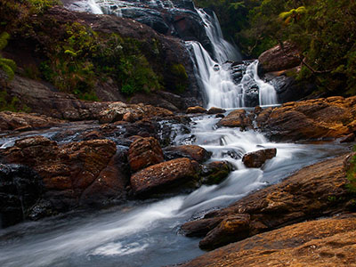 Two weeks holiday itineraries in Sri Lanka