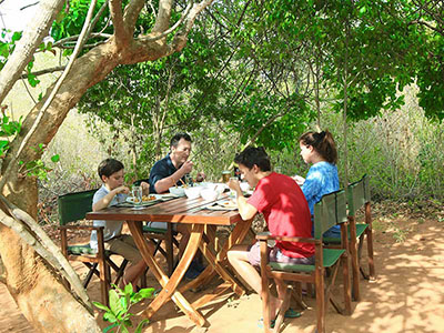 Two weeks holiday itineraries in Sri Lanka