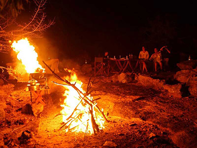 Two weeks holiday itineraries in Sri Lanka