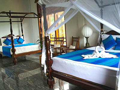 Most Popular Tour of Sri Lanka