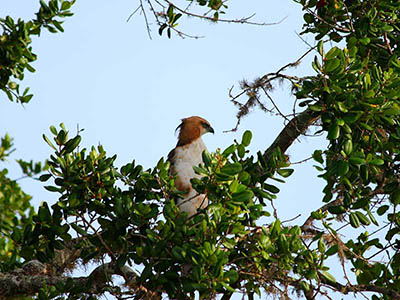 Most Popular Tour of Sri Lanka