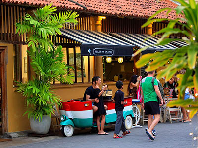 Most Popular Tour of Sri Lanka