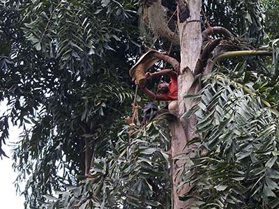 Active Adventure Tours in Sri Lanka