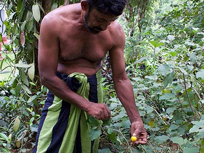 Active Adventure Tours in Sri Lanka