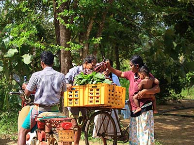 Active Adventure Tours in Sri Lanka