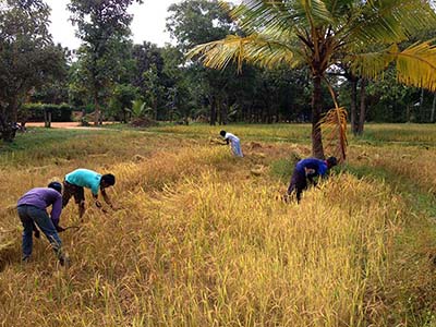 Active Adventure Tours in Sri Lanka