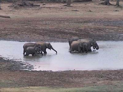 Active Adventure Tours in Sri Lanka