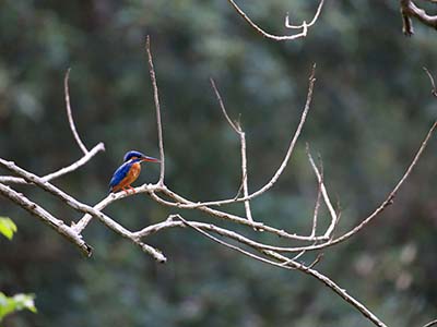 Active Adventure Tours in Sri Lanka
