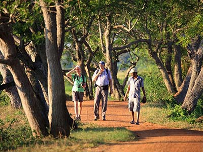 Active Adventure Tours in Sri Lanka