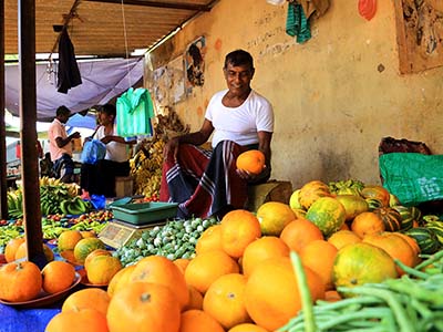 Active Adventure Tours in Sri Lanka