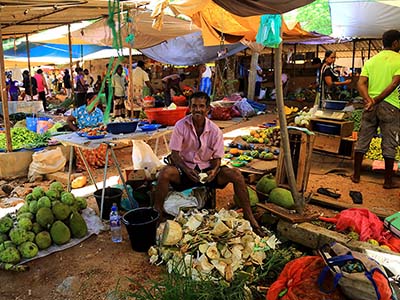 Active Adventure Tours in Sri Lanka