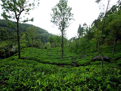 Active Adventure Tours in Sri Lanka