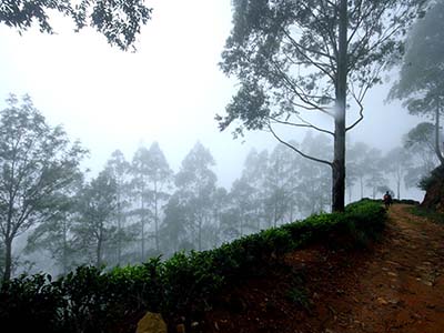 Active Adventure Tours in Sri Lanka