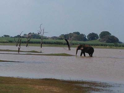 Active Adventure Tours in Sri Lanka