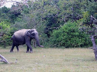 Active Adventure Tours in Sri Lanka